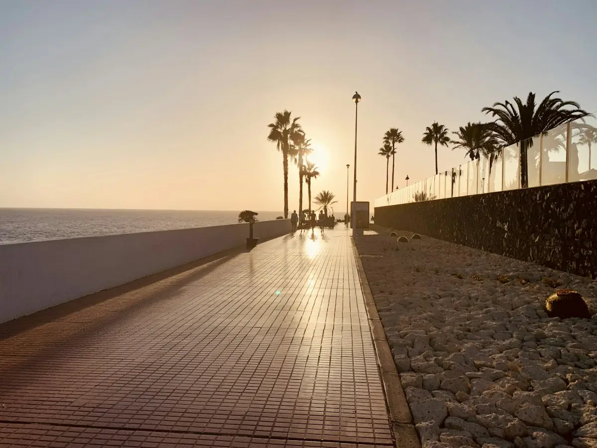 Küstenweg mit Palmen bei Sonnenuntergang in Costa Adeje